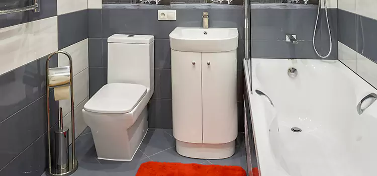 Hansgrohe Shaving Mirror Ankeny